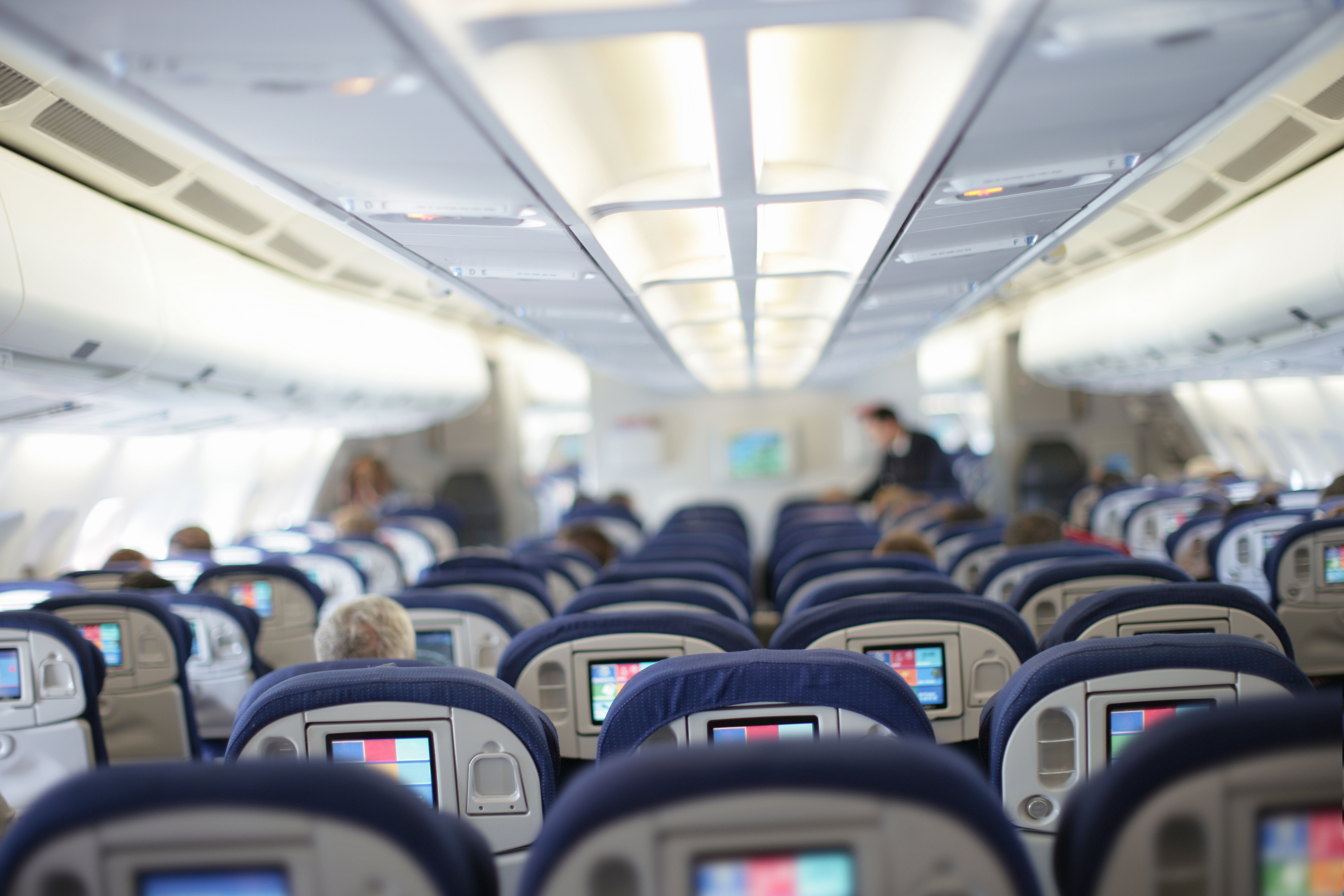 Economy class seats on the airplane