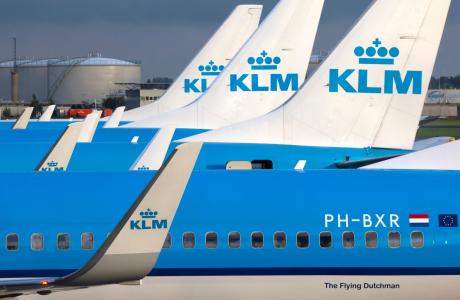 The tail section of several KLM aircraft lined up in a row.