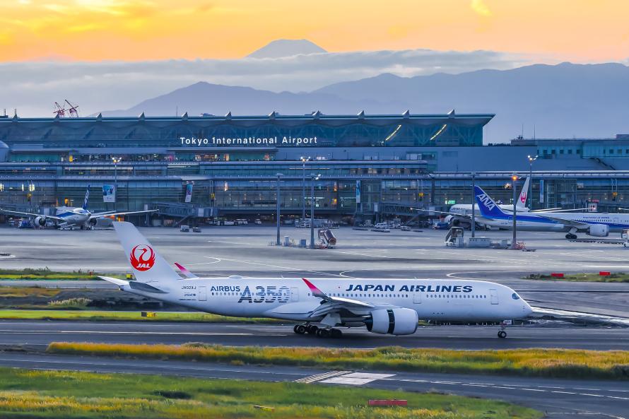 A terminal at Tokyo Haneda with mountains in the background.