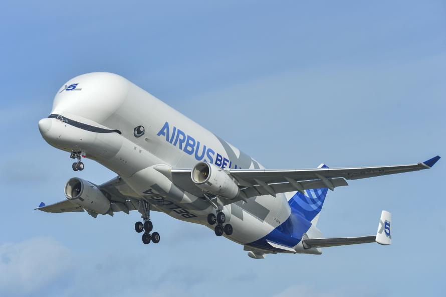An Airbus Beluga XL in flight.